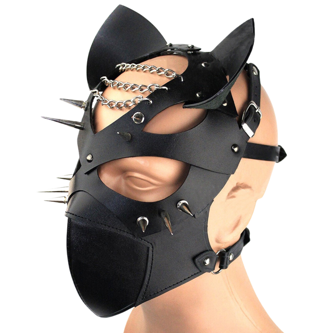BDSM Fetish Leather Mask