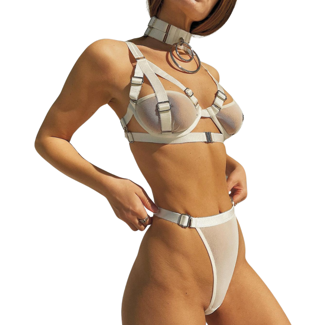 Mesh Harness Garter Belt Set with Neck Choker - Garter Lingerie Set - Auggust lingerie image 5